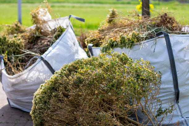 Full-Service Junk Removal in Winters, TX